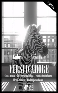 Versi d'amore