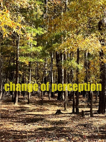  Gabriele Hauser - Change of Perception.