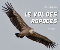 Le vol des rapaces