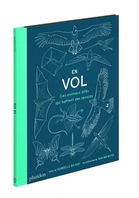 En vol