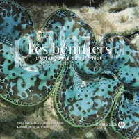 Les bénitiers