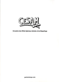 Cesam n°1 à 11