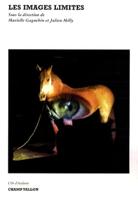 Les images limites