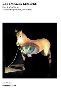 Les images limites