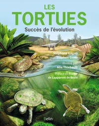 Les tortues