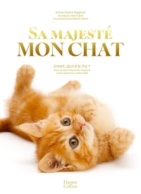 Sa majesté mon chat