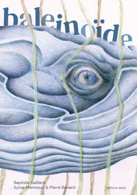 Baleinoïde