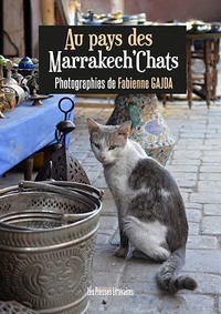 Au pays des marrakech'chats