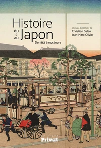 Histoire du & au Japon