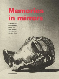 Memories in mirrors