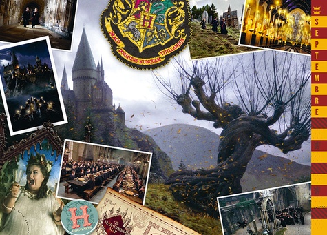 Agenda Harry Potter  Edition 2022-2023