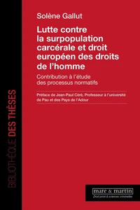 Lutte contre la surpopulation carcérale et droit européen des droits de l'homme