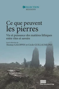 Ce que peuvent les pierres