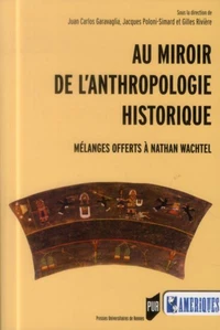 Au miroir de l'anthropologie historique