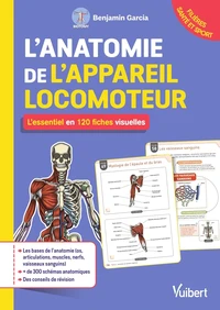 L'anatomie de l'appareil locomoteur