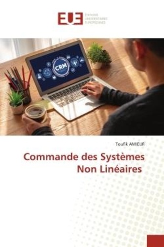 Toufik Amieur - Commande des Systèmes Non Linéaires.
