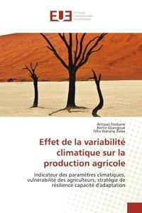 Antipas Foobane et Bertin Djiangoué - Effet de la variabilité climatique sur la production agricole - Indicateur des paramètres climatiques, vulnérabilité des agriculteurs, stratégie de résilience capac.