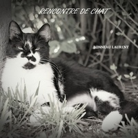 Laurent Bonneau - Rencontre de chat.