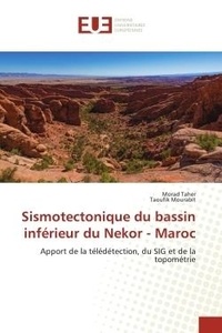 Morad Taher et Taoufik Mourabit - Sismotectonique du bassin inférieur du Nekor - Maroc - Apport de la télédétection, du SIG et de la topométrie.