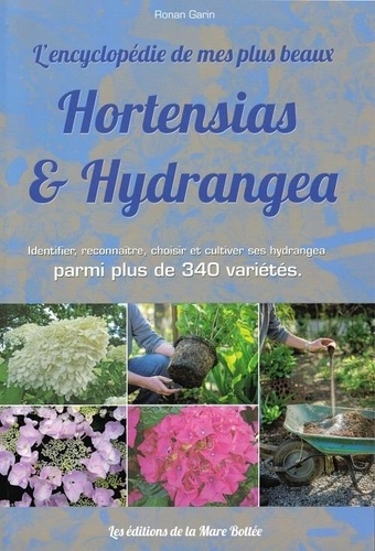 Garin Ronan - Hortensias et hydrangea.