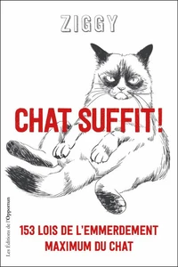 Chat suffit !