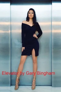 Elevator