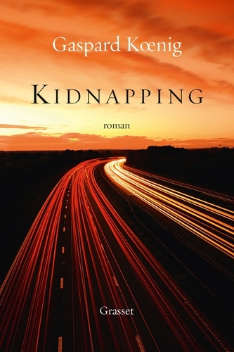 Kidnapping. roman