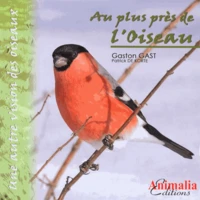 Au plus près de l'oiseau