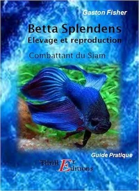 Betta Splendens