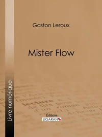 Mister Flow
