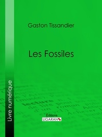 Gaston Tissandier et  Collectif - Les Fossiles.