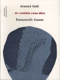 Je voulais vous dire