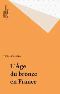 L'âge du bronze en France