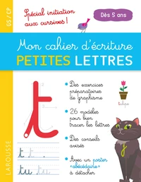 Mon cahier d'écriture petites lettres GS/CP