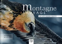 Montagne sauvage