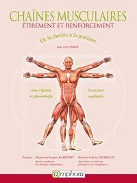 Chaînes musculaires étirement et renforcement
