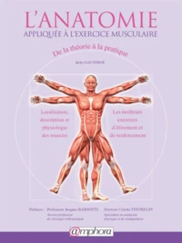 L'anatomie appliquée à l'exercice musculaire