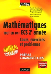 Mathématiques Tout-en-un ECS 2e année