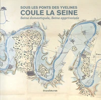 Sous les ponts des Yvelines coule la Seine