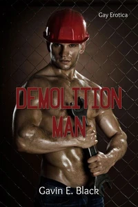 Demolition Man: Gay Erotica