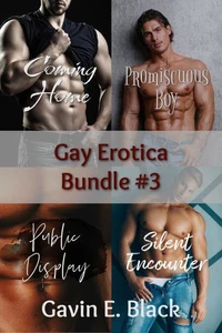 Gay Erotica Bundle #3