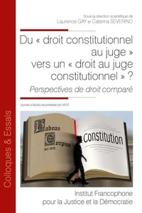 Du "droit constitutionnel au juge" vers un "droit au juge constitutionnel" ?