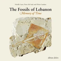 Les fossiles du Liban
