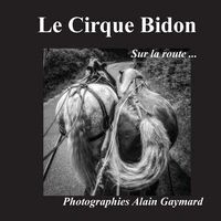 Le cirque bidon