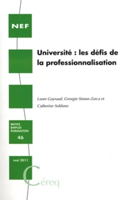 Université : les défis de la professionnalisation