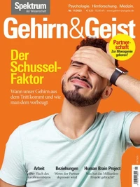 Gehirn&amp;Geist 11/2023 Der Schussel-Faktor