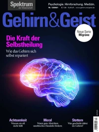Gehirn&amp;Geist 12/2021 Die Kraft der Selbstheilung