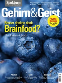 Gehirn&amp;Geist 12/2023 Besser denken dank Brainfood?