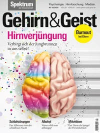 Gehirn&amp;Geist 2/2024 Hirnverjüngung