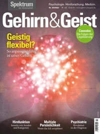 Gehirn&amp;Geist 2/22 Geistig flexibel?